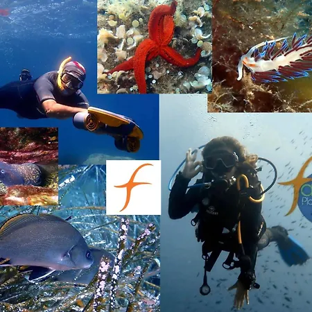 דירה A Rossa Location